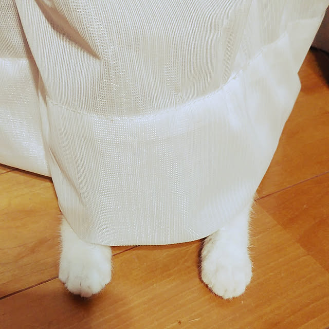 annさんの実例写真