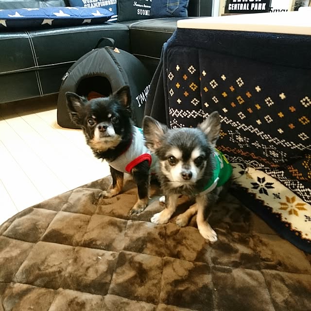 lovepeaceさんの実例写真