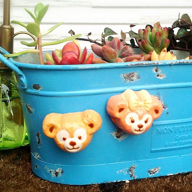 aloha-fumickeyさんの実例写真