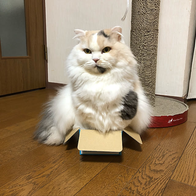 keibooさんの実例写真