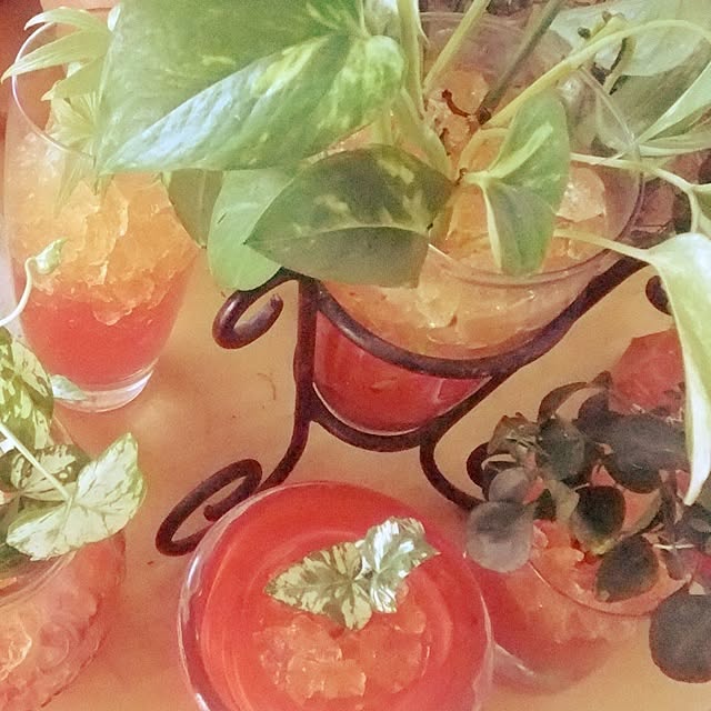 maimaiさんの実例写真