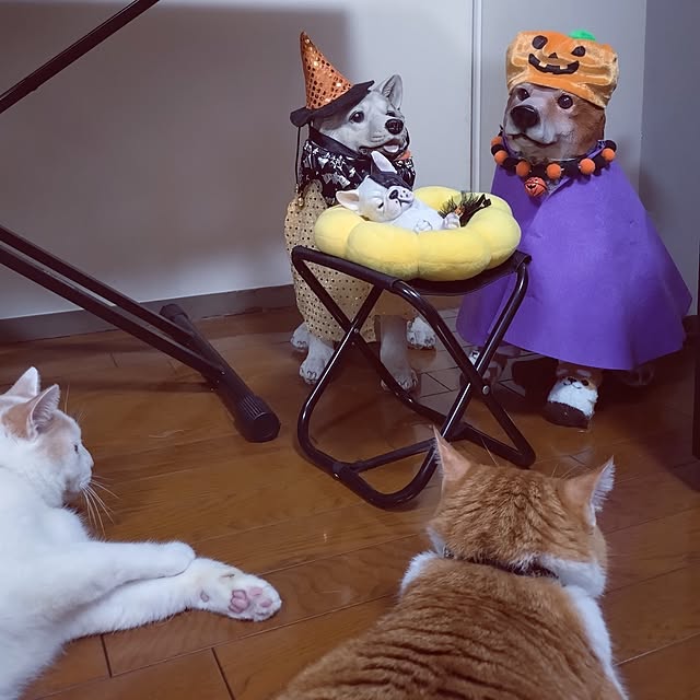 NOAHさんの部屋