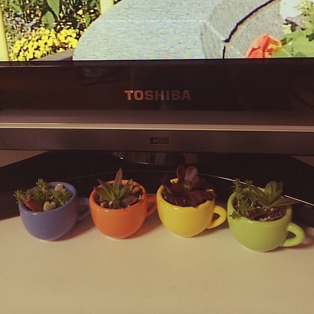 hanaさんの実例写真