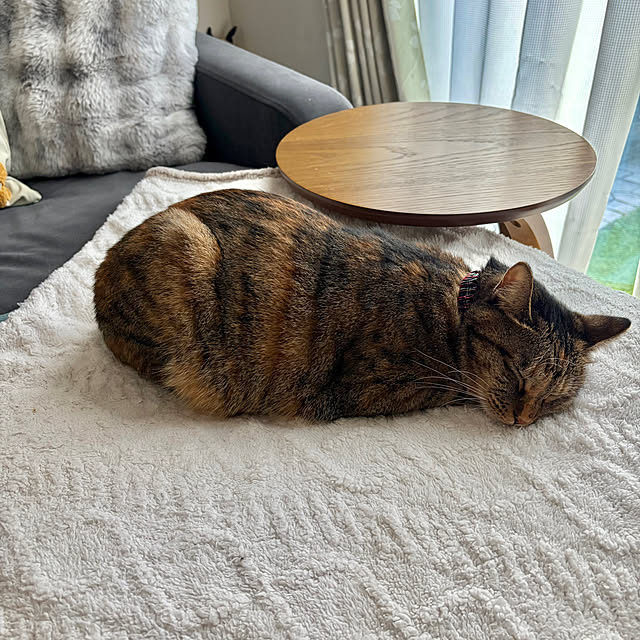 chiiさんの実例写真