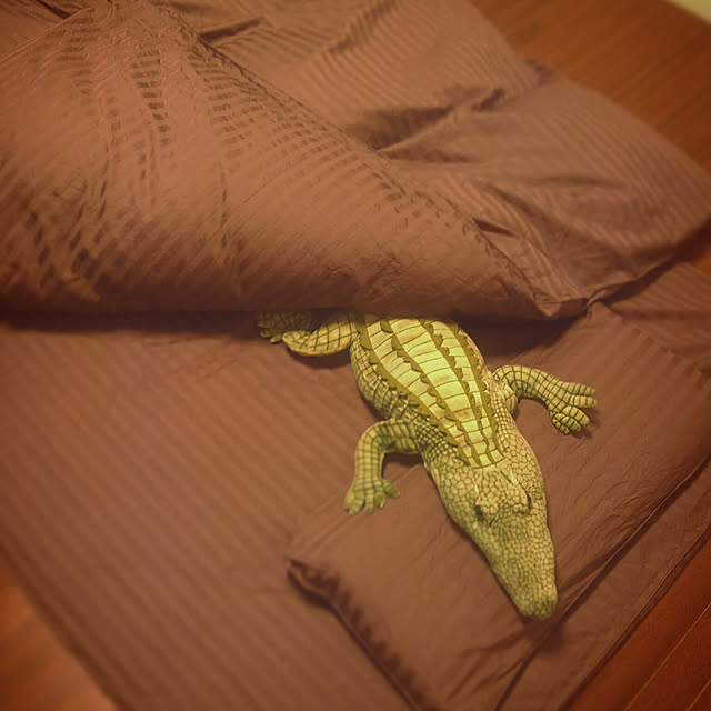waniwaniさんの実例写真