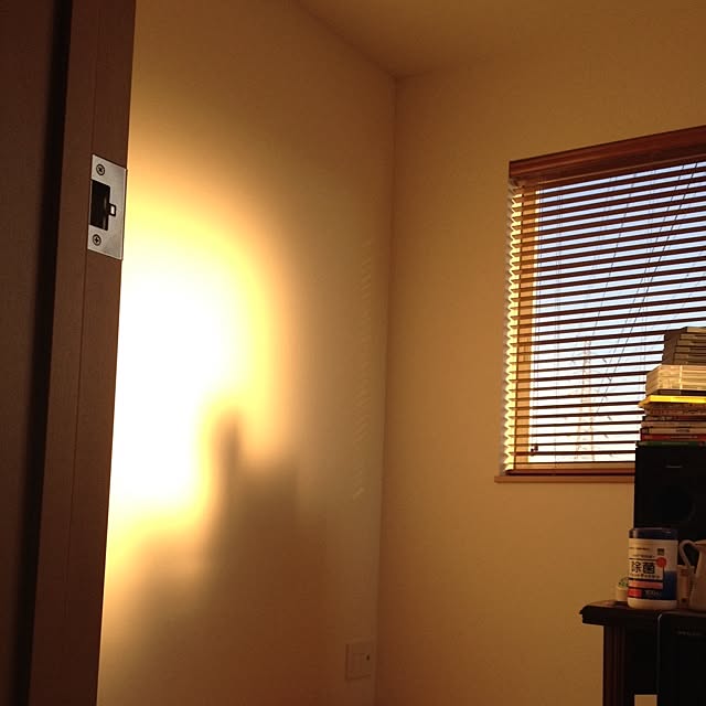 Link_Honeyさんの実例写真