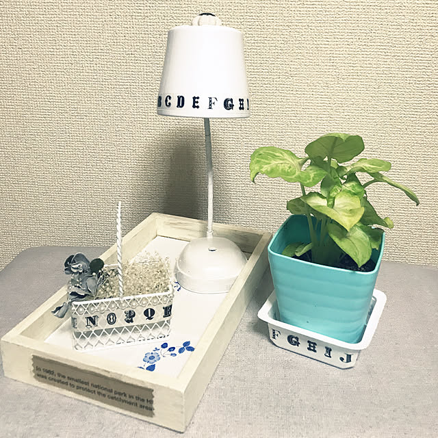 watakoさんの実例写真