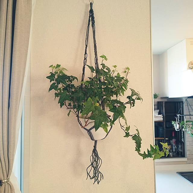 mono_plantさんの実例写真