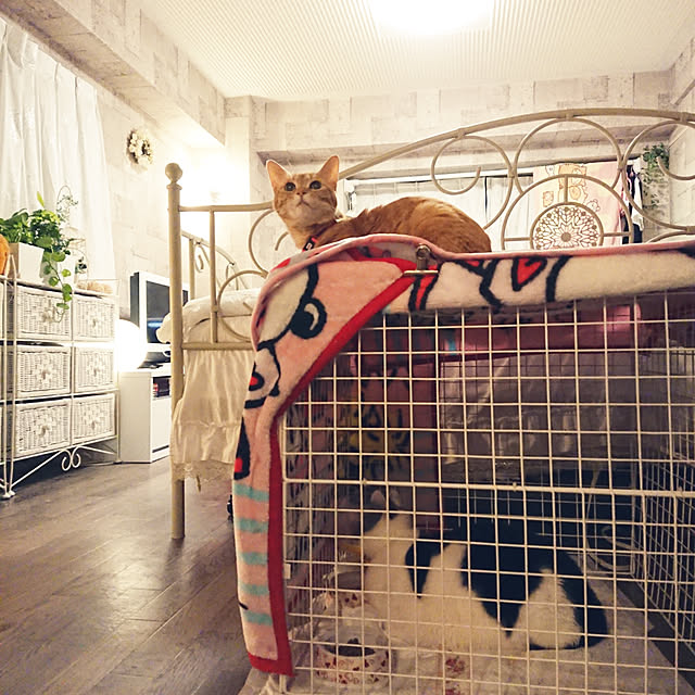 asuminさんの実例写真