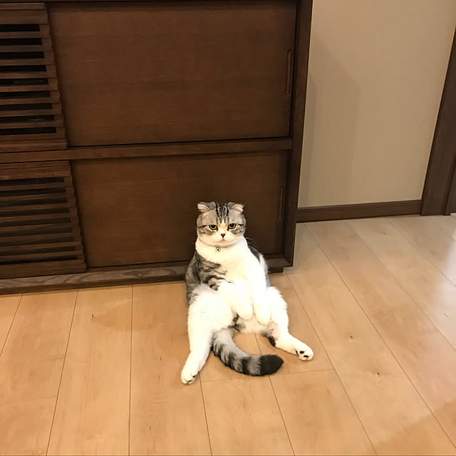 Dahliaさんの実例写真