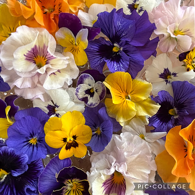 Smilkazuさんの部屋