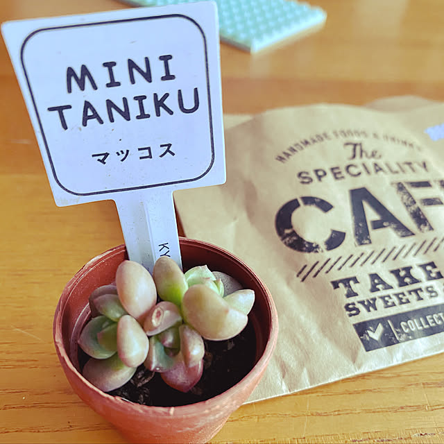 amさんの実例写真