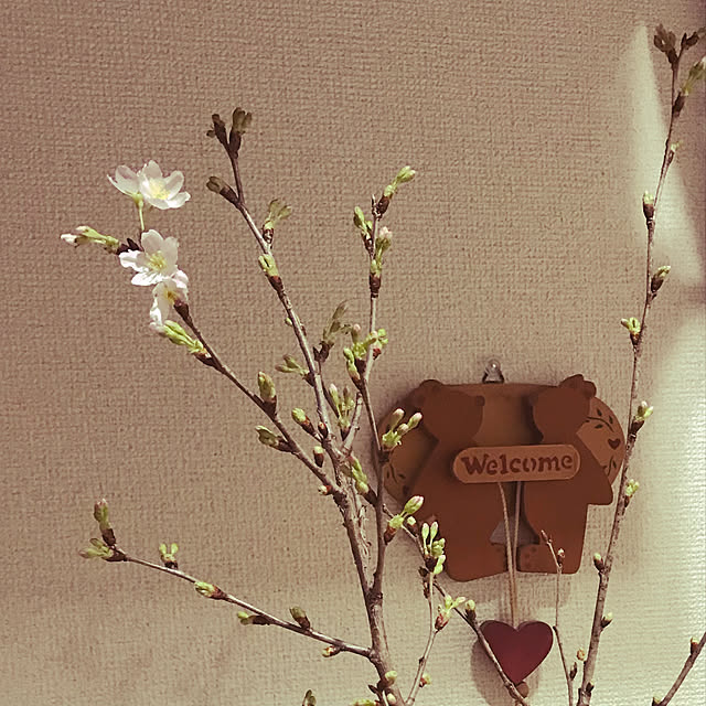 hiro_kyo_e320さんの実例写真