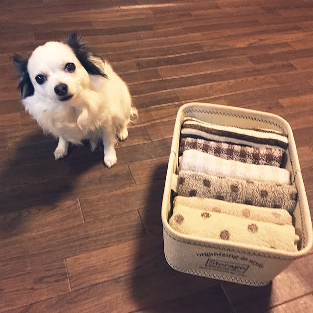 ohanaさんの実例写真
