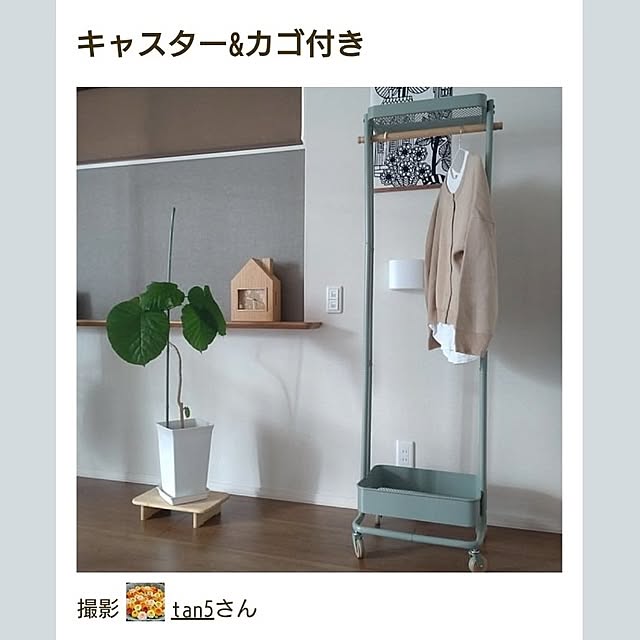 tan5さんの実例写真