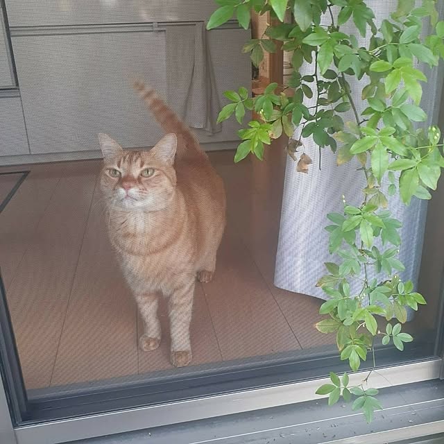 amtさんの実例写真