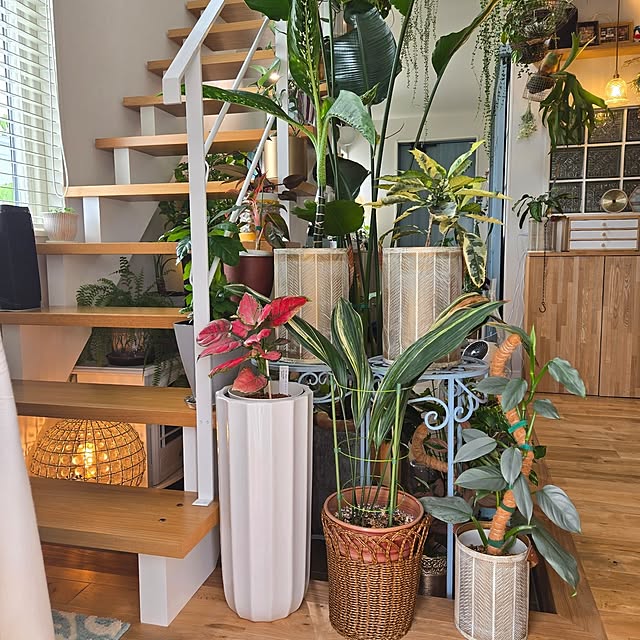 nonbiri_house_さんの実例写真