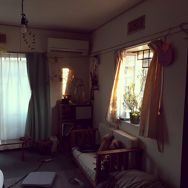 Yukariさんの実例写真