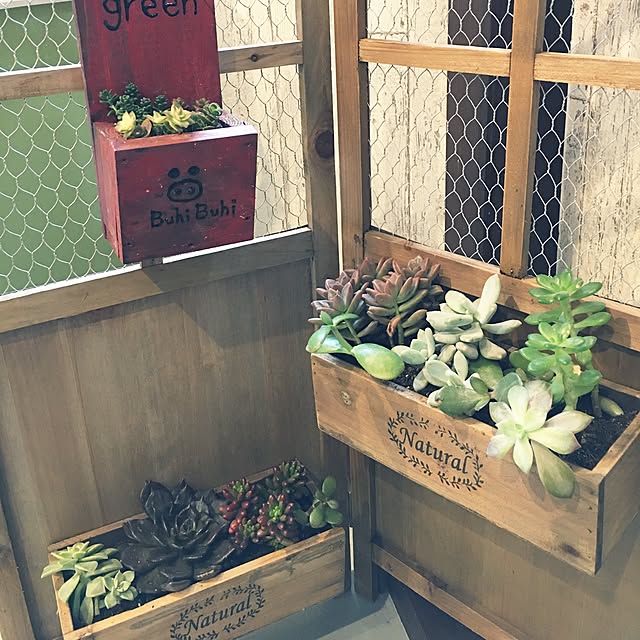 CachetteHASAMIさんの実例写真