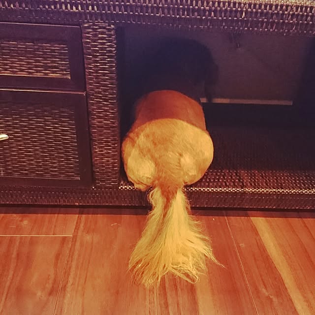 cocosorasakuさんの実例写真