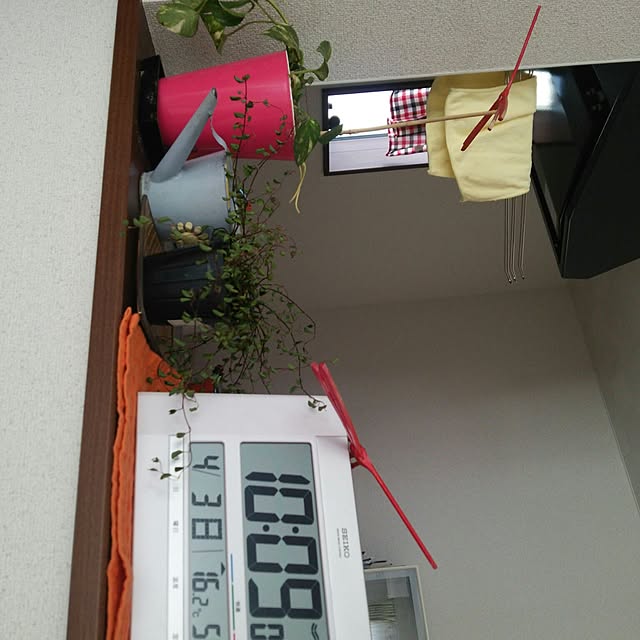 Hitomiさんの実例写真