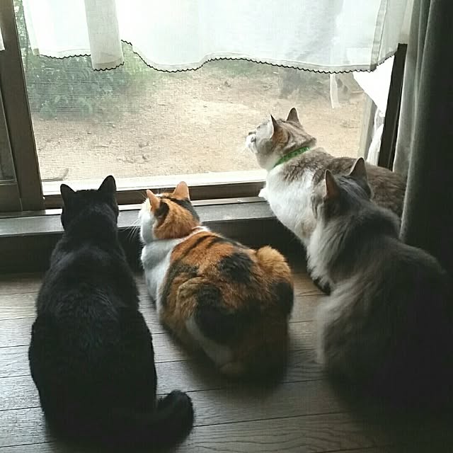 lecielさんの実例写真
