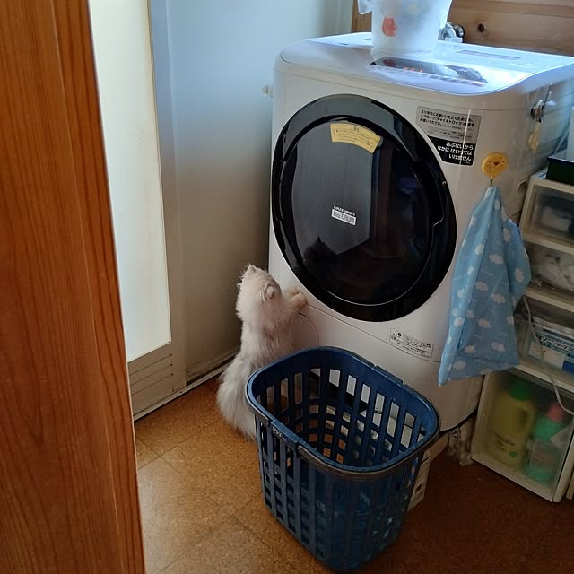 makaronさんの実例写真