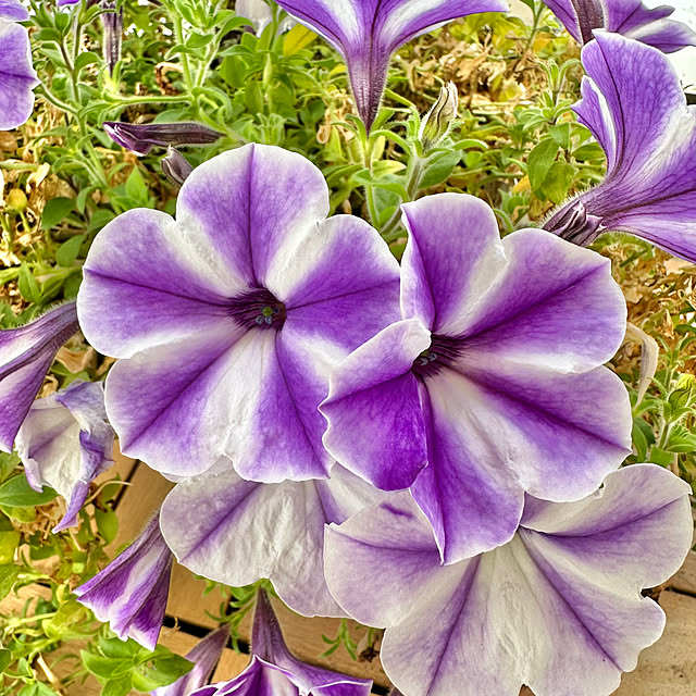 miyumiyuさんの部屋