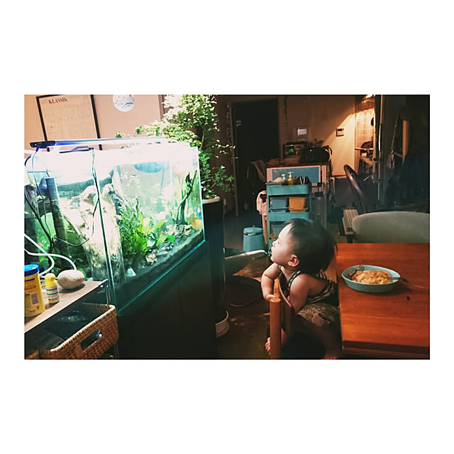 0sakuさんの実例写真