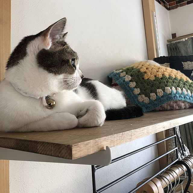 miiko3さんの実例写真