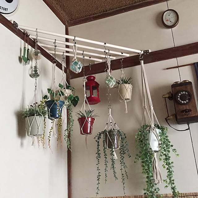 maimaiさんの実例写真