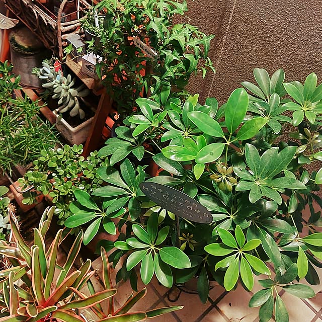 katさんの部屋