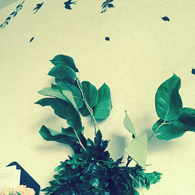 taroさんの実例写真