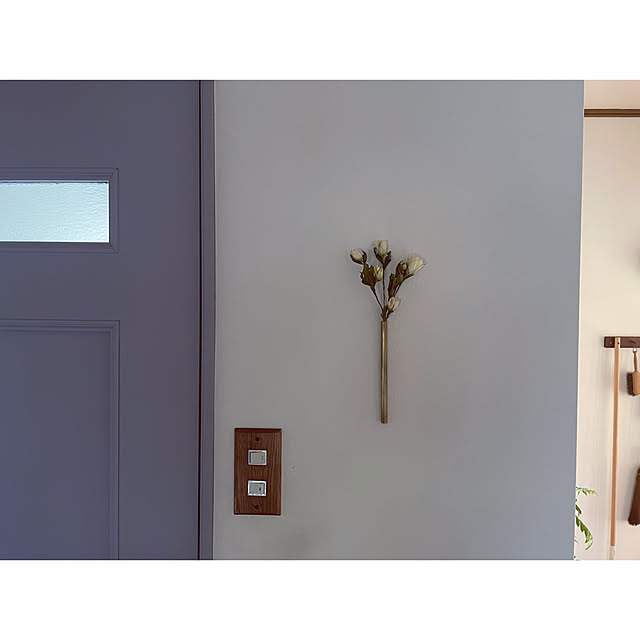 壁/天井/リュウビンタイ/クリスマスローズドライ/庭の草花/田舎暮らし...などのインテリア実例 - 2025-04-17 11:20:57
