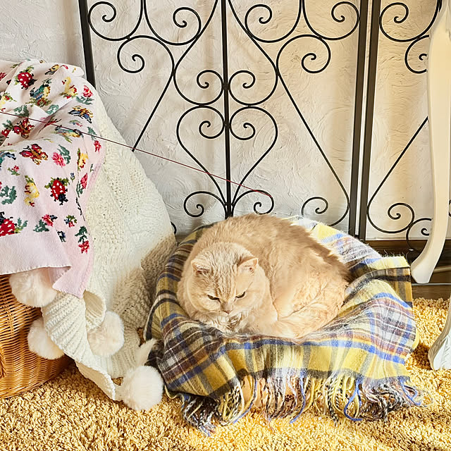 naokoさんの実例写真