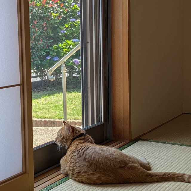 emyさんの実例写真