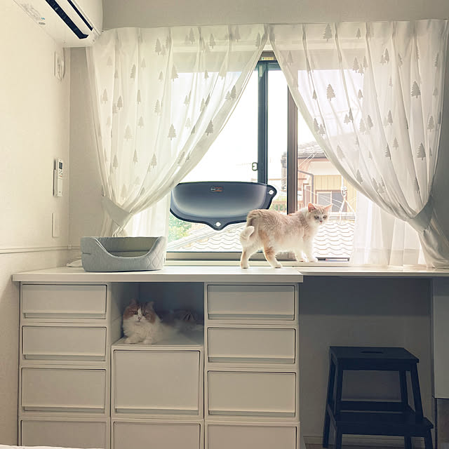 H.Tさんの実例写真