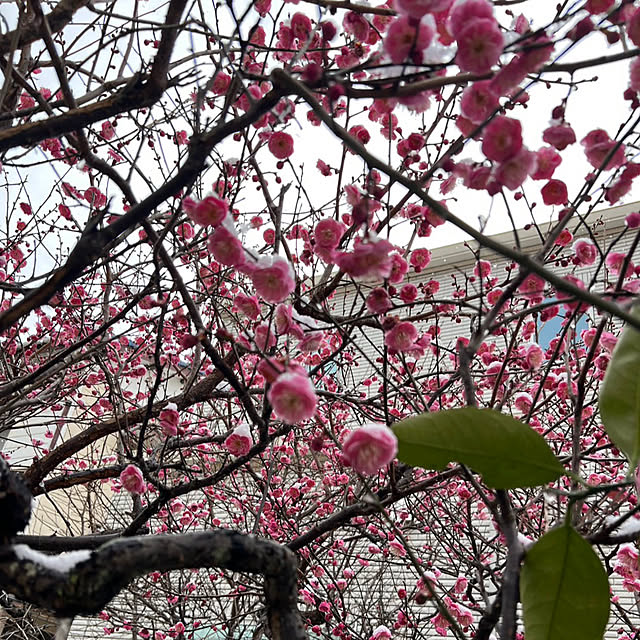 Aqettyさんの部屋