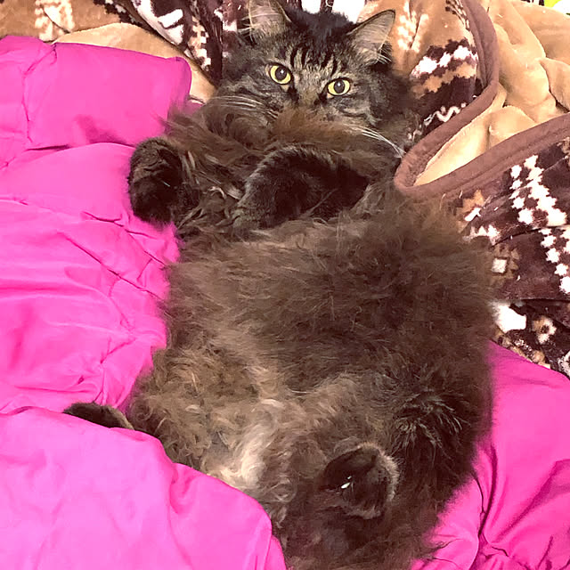 yanさんの実例写真
