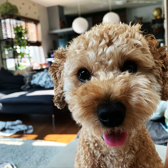 Karinさんの実例写真