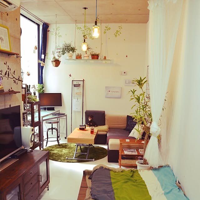 部屋全体/一人暮らし/多肉植物/DIY/ペンダントライト...などのインテリア実例 - 2014-04-06 20:24:20
