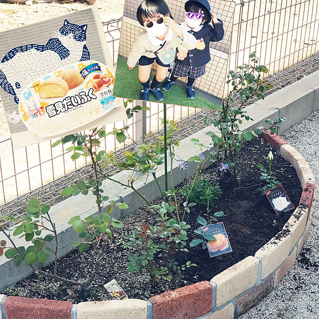 ryouさんの実例写真