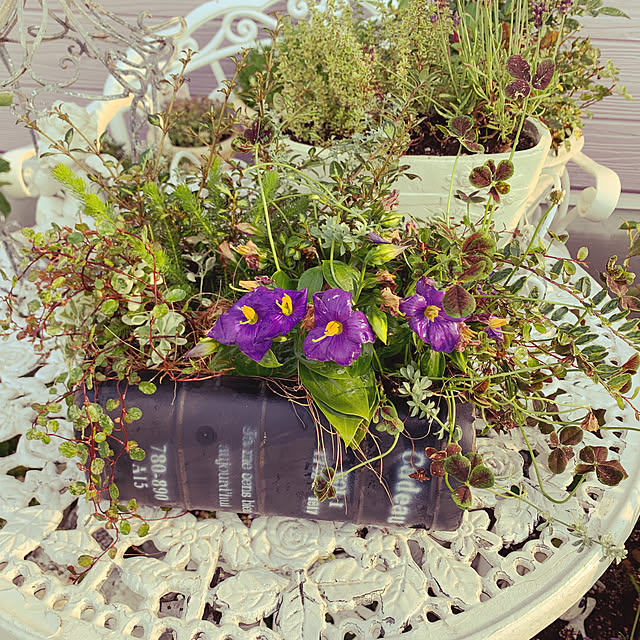 AYUKOさんの実例写真