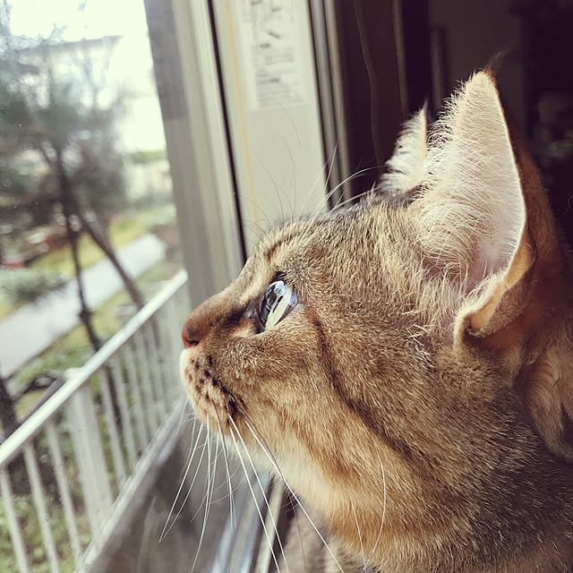 RAMさんの実例写真