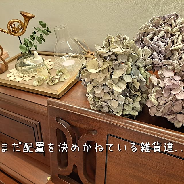 kankanmom_horn_5catsさんの部屋