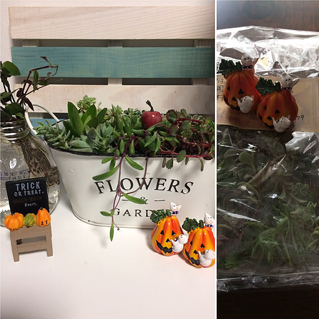 kimuraruさんの実例写真