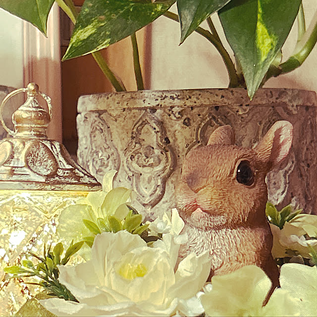 hareさんの実例写真