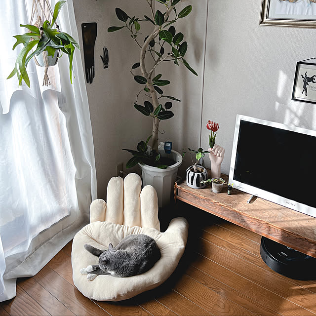 hada.iroさんの部屋
