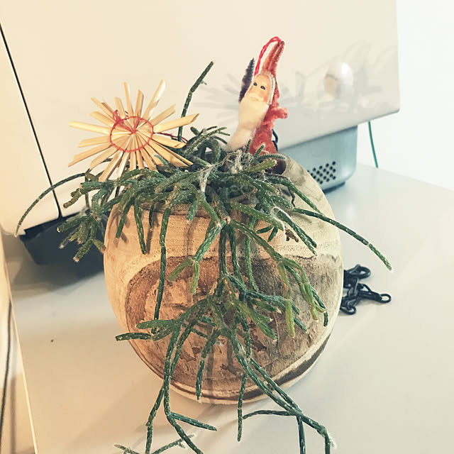 aliさんの実例写真