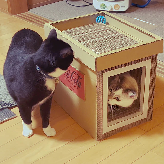 POMERUNさんの実例写真